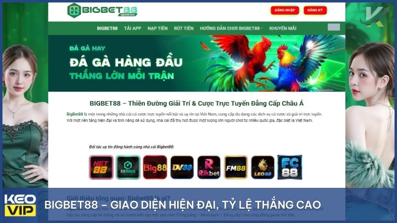 Bigbet88 cloud là nhà cái hàng đầu chuyên cung cấp dịch vụ cá cược trực tuyến  với nhiều loại hình giải trí hấp dẫn
