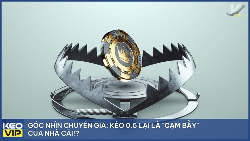 Kèo 0.5 được cho là "cạm bẫy" của nhà cái vì con số này khá mong manh và có thể dẫn đến nhiều kết quả khó đoán
