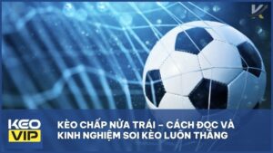 Kèo Chấp Nửa Trái – Cách Đọc Và Kinh Nghiệm Soi Kèo Luôn Thắng