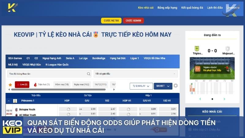 Quy trình soi kèo 3 bước giúp tối ưu quyết định và hạn chế sai lầm