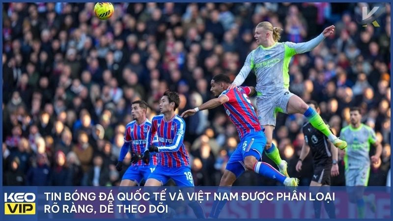 Tin bóng đá hôm nay có gì hot được phân loại rõ ràng để người chơi tiện theo dõi